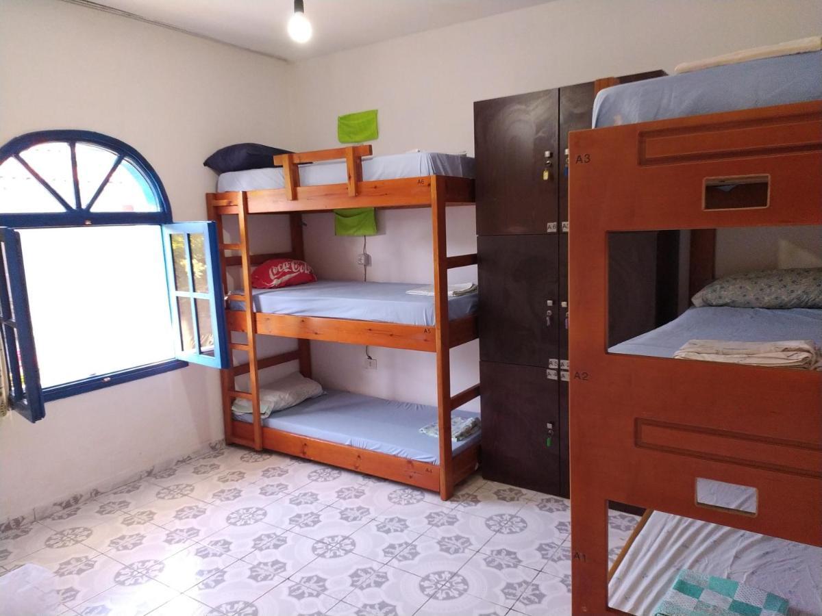 Pinegroove Hostel Vlora Exterior photo